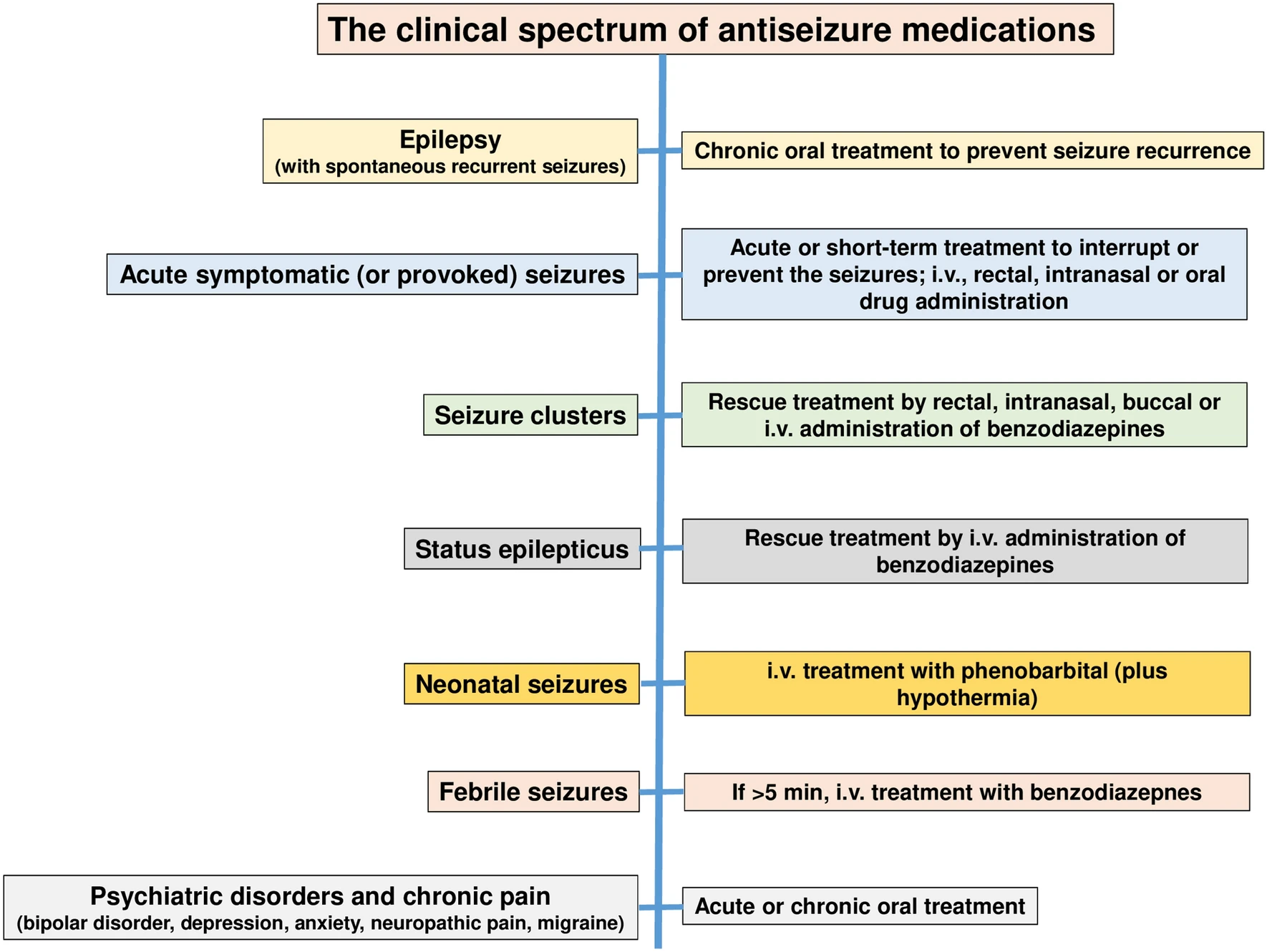 Clinical spectrum of anti-seizure medications